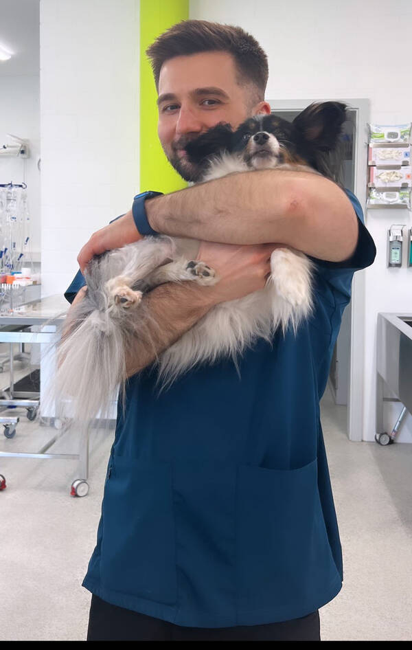 Tierarzt mit Hund auf dem Arm