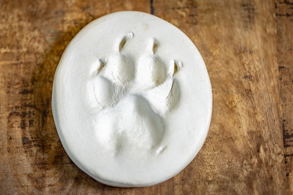 Pfotenabdruck als Erinnerung