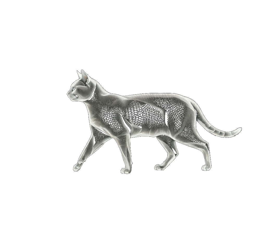 Katze fuer Tierarztpakete in Aargau