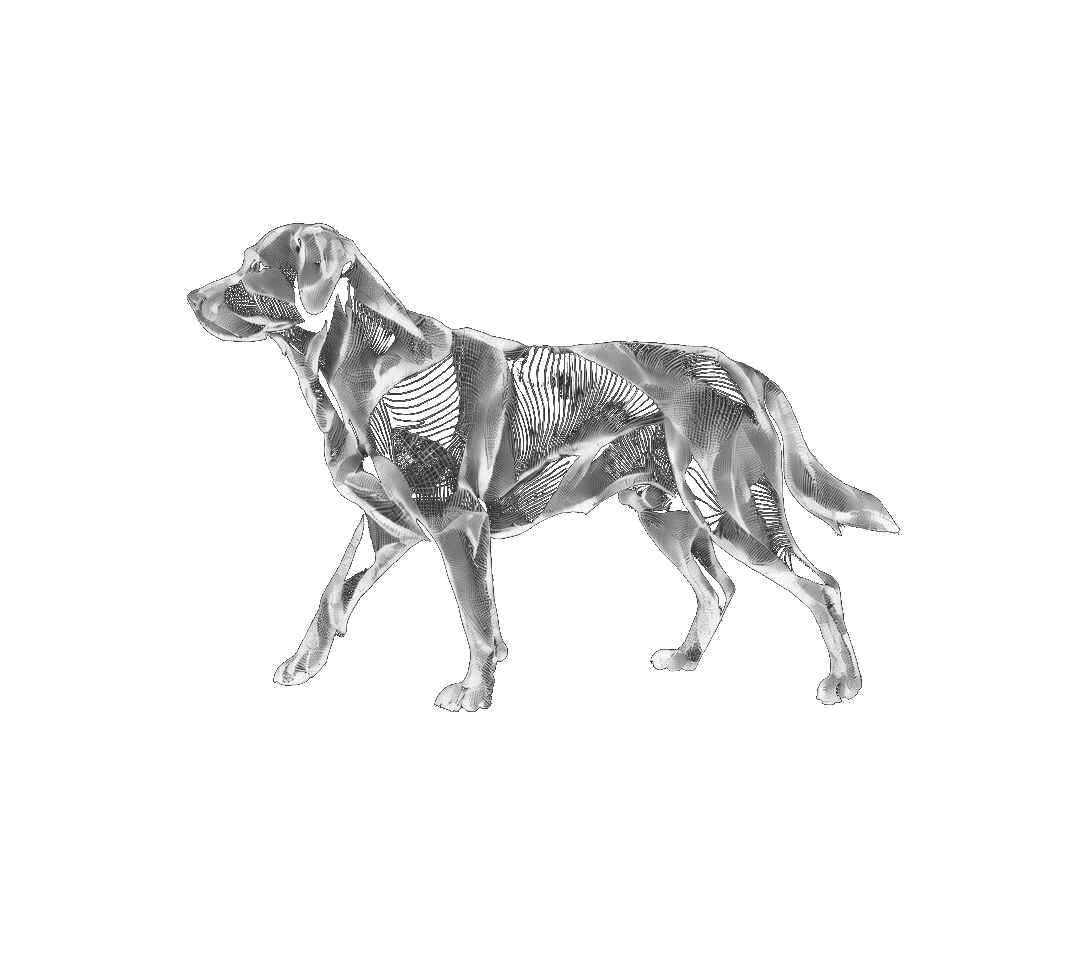 Hund fuer Tierarztpakete in Aargau